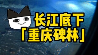 Ancient Cats | The "Chongqing Stone Forest" Beneath the Yangtze River