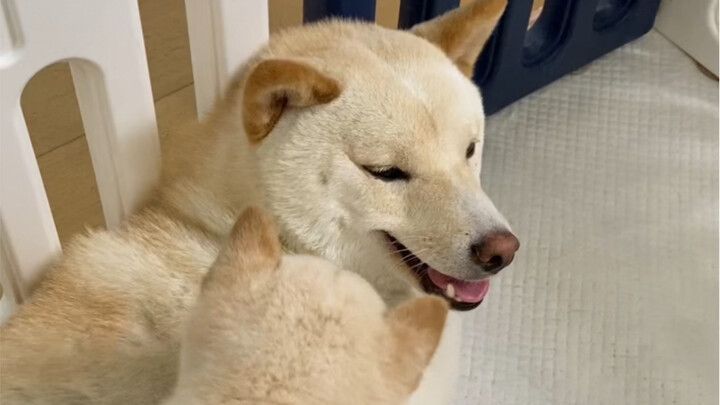 This Uncle Isn't Very Cool