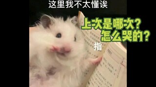 【ستارز سونغتشن】 تلك الكلمات الصادمة التي قالها تشونغ تشن ليه لبارك جي سونغ: "أنتِ يا أخت لي؟ أنا لست