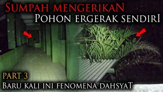 🔴 1208- POHON BERGERAK ! BARU KALI INI FENOMENA TERANGKER PART 3