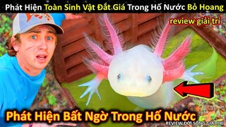 Phát Hiện Toàn Sinh Vật Đắt Giá Triệu Đô Trong Hố Nước Bị Bỏ Hoang || Review Giải Trí Đời Sống