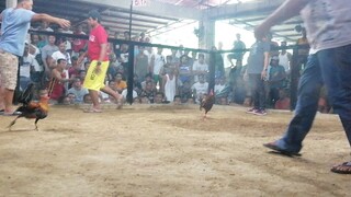 tsamba kaya!!🤣🤣🤣🤣tagam