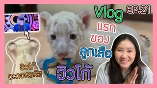 VLOG : ชีวิตในแต่ละวันกับลูกเสือขาวฮิวโก้ Davinci เด็กถอดรหัส คือรายการโปรด? EP.21