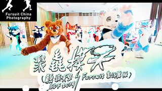 大陆最大毛毛舞团！！为您激情上演BDF2019！！[Fursuit MV][聚毳摸天] - 触摸天空毛毛集体舞版