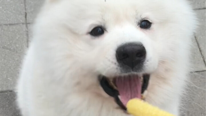 Cánh tay hoa Yeye lần đầu tiên ăn mì cay!