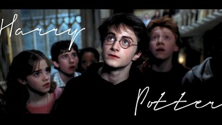 "Potter tiền bối luộm thuộm nhưng thực sự rất đẹp trai" [HP |