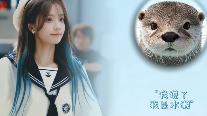 【Yang Bingyi】Please choose your pet lover
