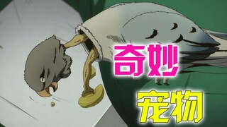 A human arm is sticking out of a parrot's body? This is my roommate's pet, JOJO Stone Ocean