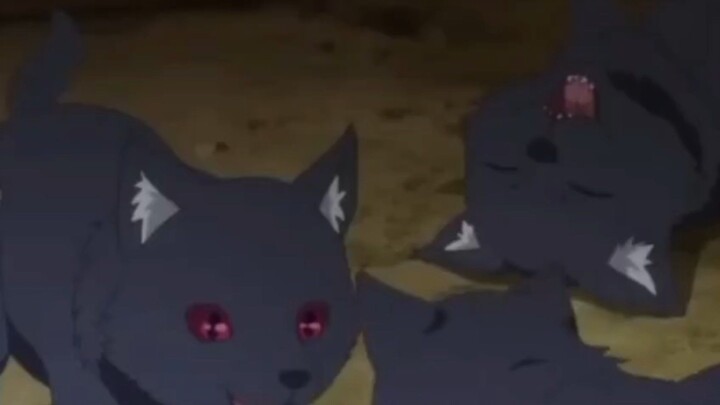 kucing hitam