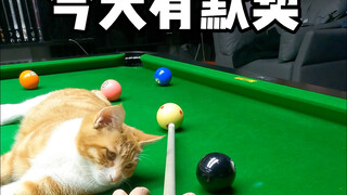 Today, Little Orange is in sync, huh?