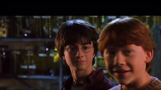 Finally, she said the name she had never dared to call "Voldemort" during the Battle of Hogwarts - P