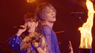Angela - Ayakashi (Ayaka)