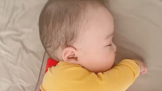 Bình ga nhỏ ngủ say đáng yêu quá, không nhịn được muốn véo mông bé ấy!