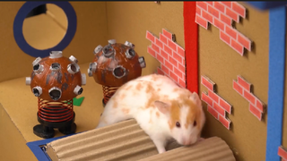 ภารกิจของหนูแฮมสเตอร์ EP 227