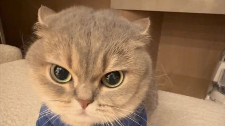 งานของคุณแม่แย่มากเลย