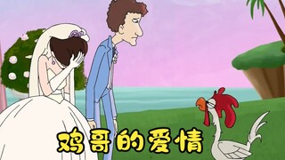 一只鸡的出现打断了婚礼的进行，细问之下得知它跟新娘有爱恨情仇
