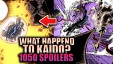 WHAT HAPPENED TO KAIDO? / One Piece Chapter 1050 Spoilers