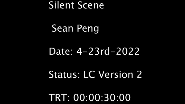 Silent Scene (version 2)