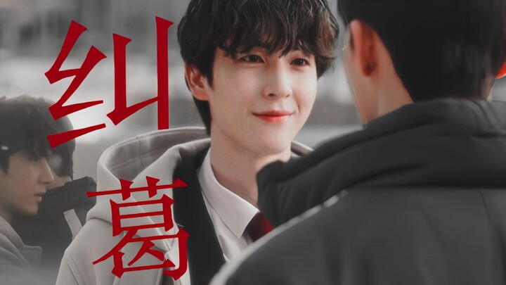 “Tôi cứ ngỡ mình bị điên khi lại có những suy nghĩ như vậy về anh trai hàng xóm.”