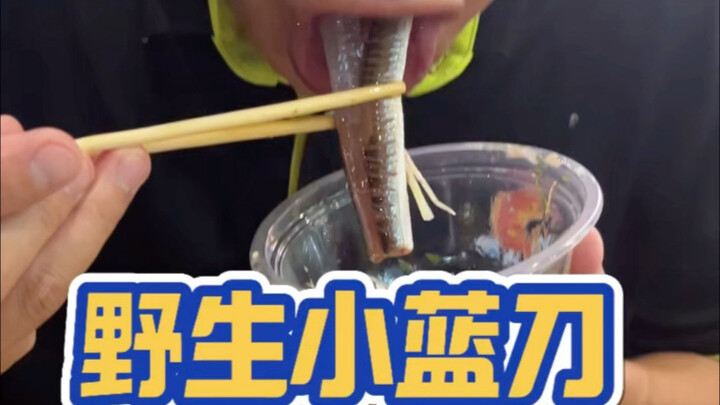 Ikan Blue Knife, jet tempur di dunia sashimi. Makan sashimi blue knife tiga kali sebulan itu berlebi