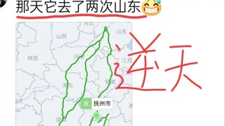 笑死，抽象快递路线…收件人气疯了，就爱瞎溜达，把他没去过的地方都逛完了!