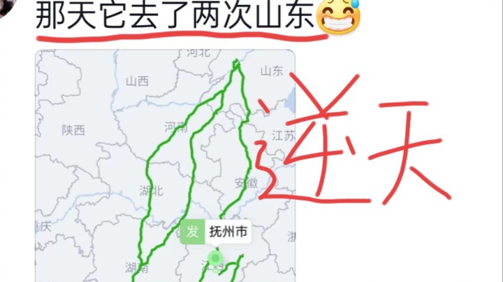 笑死，抽象快递路线…收件人气疯了，就爱瞎溜达，把他没去过的地方都逛完了!