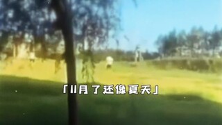 「今年好像冷得特别慢，11月了还像夏天」