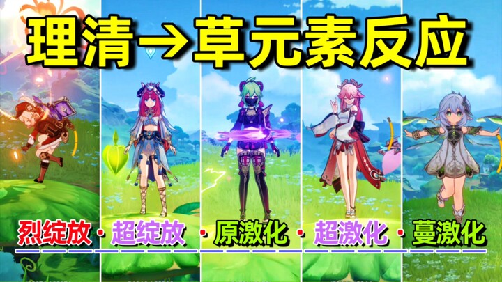 Genshin Impact: One Video Clarifies All Pyro Reactions! Bloom, Swirl, and Combustion!