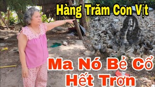 Ma Nhát Khiến Không Một Ai Giám Tá Túc Qua Đêm Nơi Đây Ma Không Đầu MA QUỶ Bẻ Cổ Hàng Trăm Con Vịt