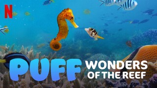 Movie Puff Wonders Of The Reef