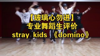 【玻璃心勿进】专业舞蹈生评价stray kids《domino》练习室