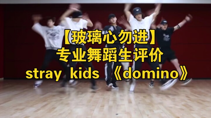 นักเต้นมืออาชีพรีวิวสตูดิโอ "Domino" ของ Stray Kids