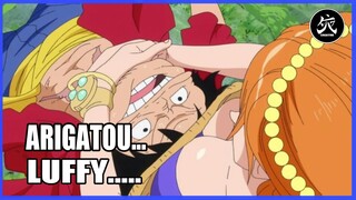 Hari Dimana Nami Membutuhkan Luffy