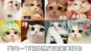 你们可能不认识小泡芙，但一定见过她的表情包2