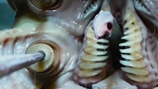抱脸虫与外星人交合，诞生出了异形皇后