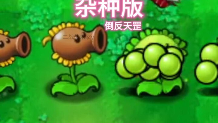 倒反天罡
