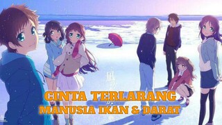 (PART 01) REKOMENDASI ANIME ROMANCE CINTA MANUSIA IKAN DAN MANUSIA DARAT