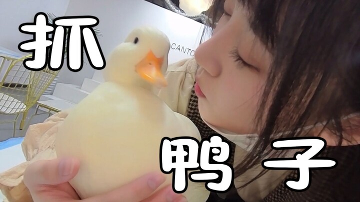 Want to come with me to catch ducks? First-ever duck shop experience!!