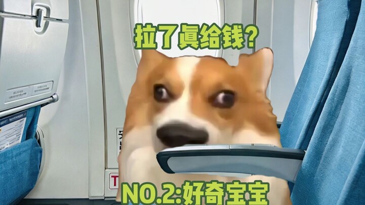 Onboard Jiahao