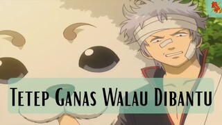 Gintama ||😶😶  Tetep Ganas Walau Dibantu  😶😶