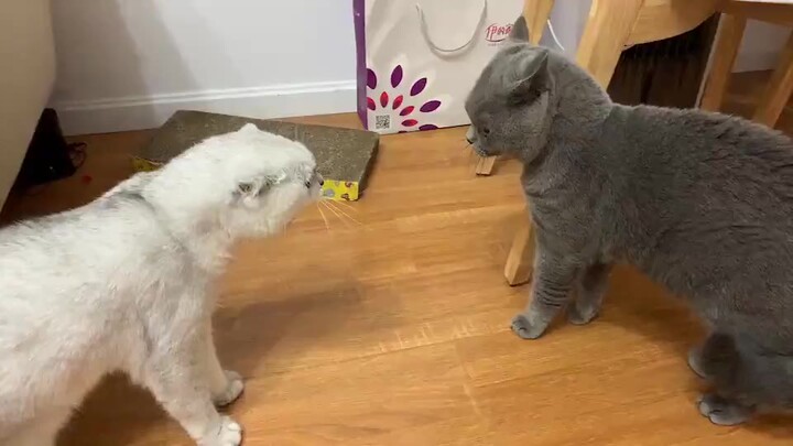 عندما لا تعود إلى المنزل في الوقت المحدد...