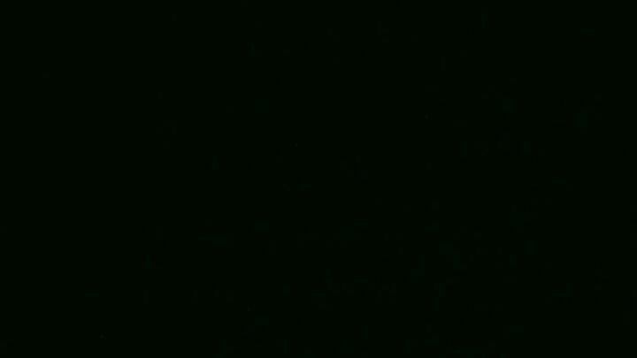 musik pada mu pada mu hanya pada muu