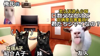 【熟/猫meme】想找小女友的朋友请我帮忙（2.5）