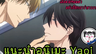 [Re-Upload]  :  แนะนำ 5 อนิเมะวาย ที่สาวกไม่พลาดที่จะดู – EP.2