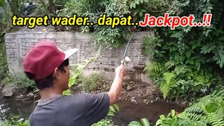 Mancing Wader!! Kaget Dapat Jackpot Ikan Nila