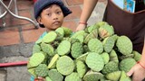 Hard Working 7 Years Old Boy Sell Edible Lotus Seeds