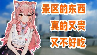 猫猫在景区买东西吃，结果踩雷了【Hiiro/开播四周年纪念回】