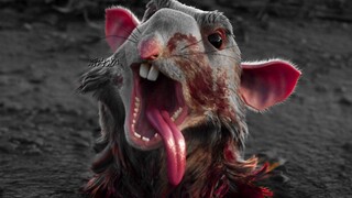 Mối quan hệ yêu-ghét giữa con người và chuột