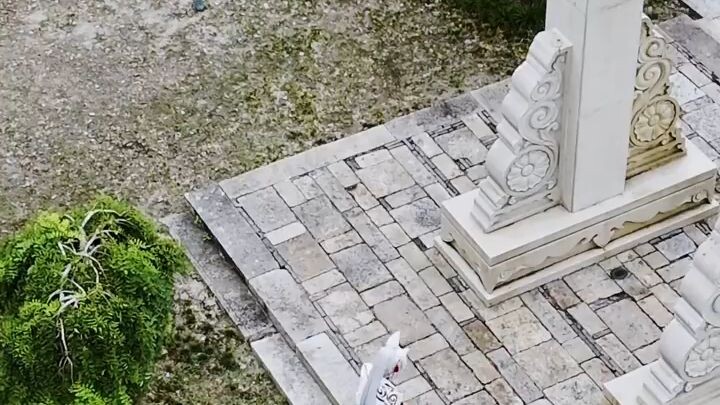 Love you Marry you Worship you