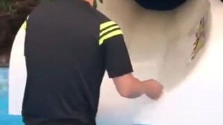 Cita-citaku ingin menjadi penjaga kolam renang 🍑🍑🍑